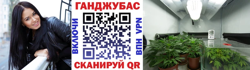 Каннабис конопля  дарнет шоп  Петров Вал 